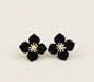 Black Velvet Blossom